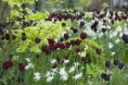 /album/fotogalerie/thumb009-jpg/