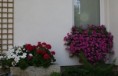 /album/fotogalerie/thumb6170-jpg/